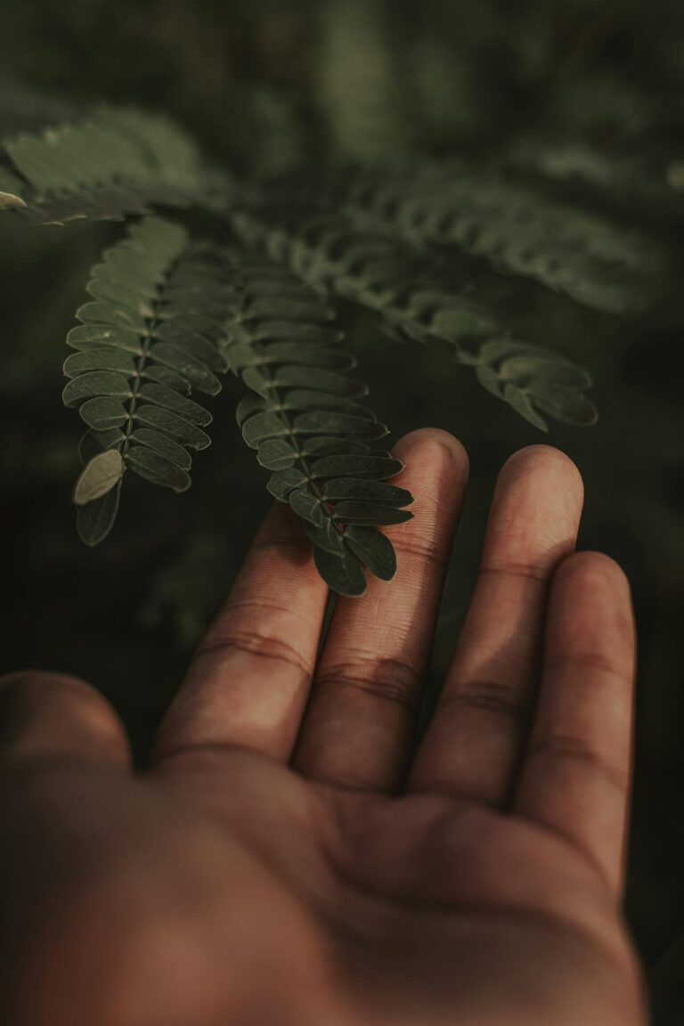 pexels-alancabello-1519090