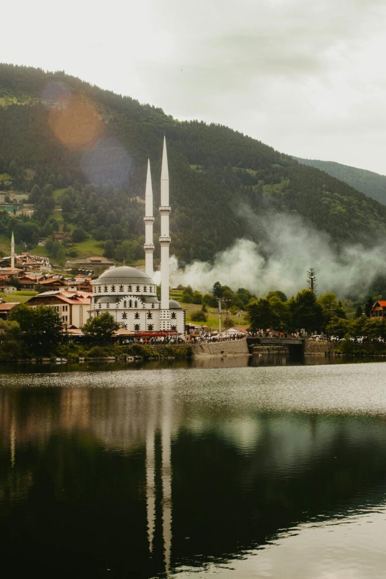 pexels-beyzaa-yurtkuran-279977530-18617537