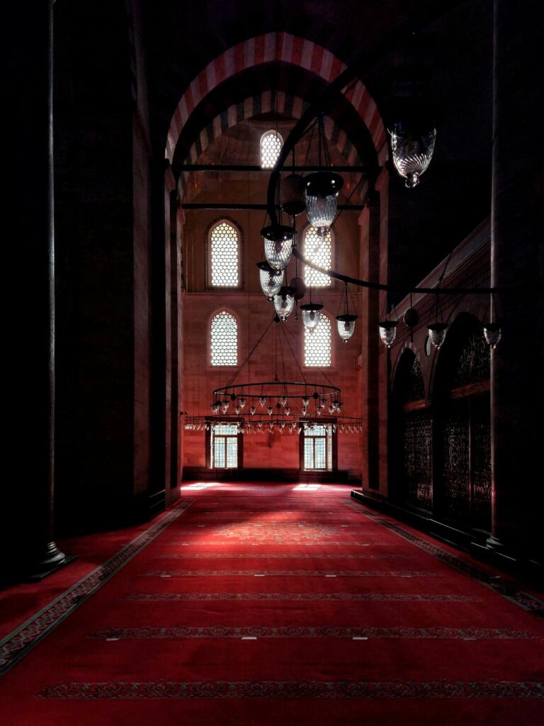 pexels-husna-karatas-59233719-8572373