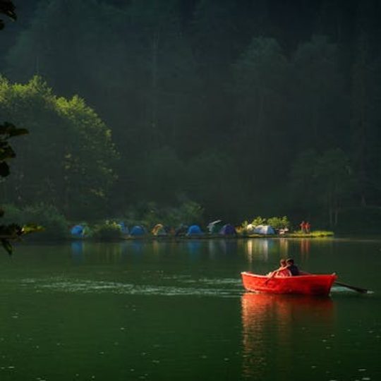 pexels-ali-duzdemir-60335944-18640065 pexels-ali-duzdemir-60335944-18640065